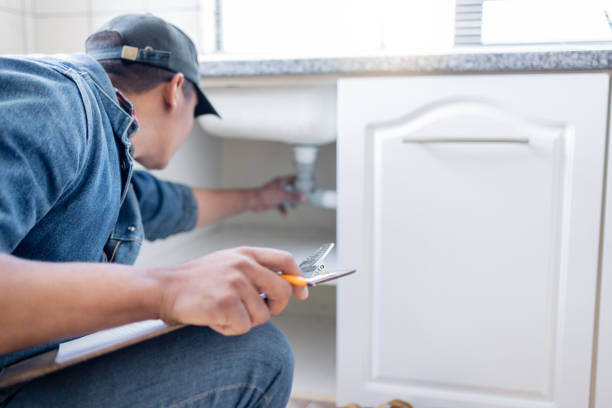Best Toilet Repair Services  in Blue Mound, IL
