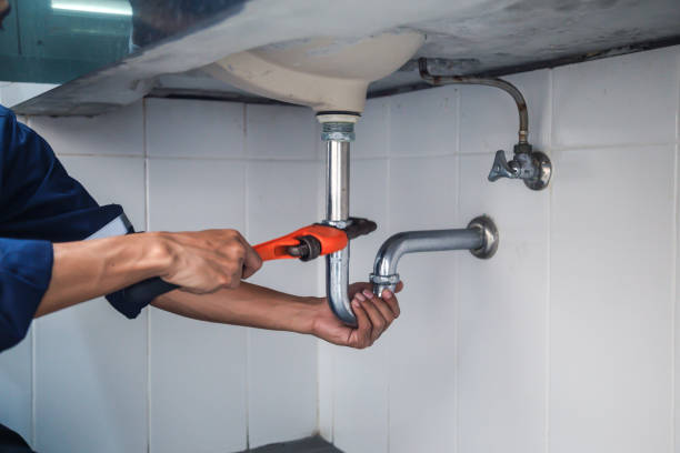 Best Plumbing Inspection Services  in Blue Mound, IL